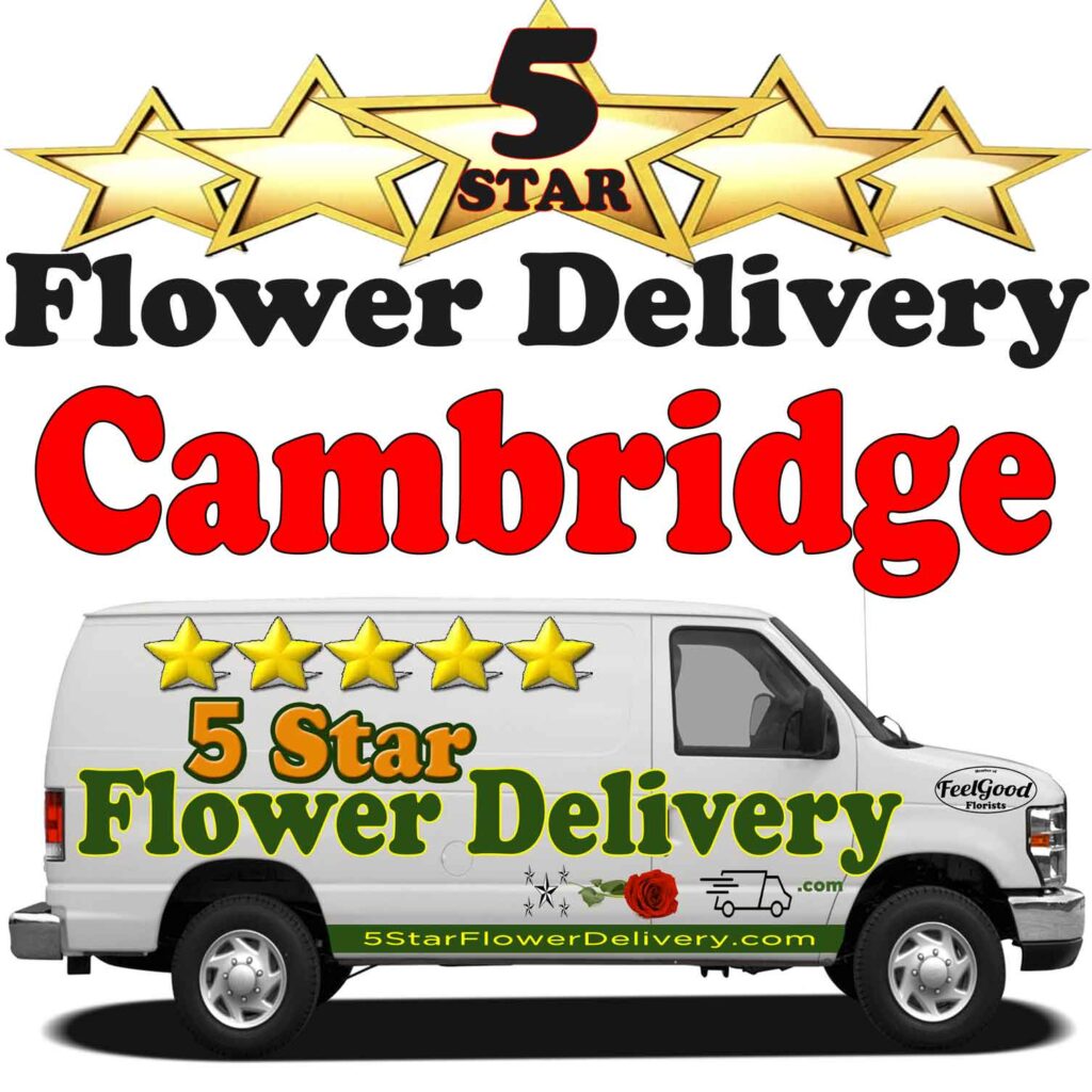 Same Day Flower Delivery in Cambridge